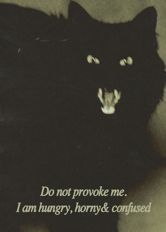 Do Not Provoke Print