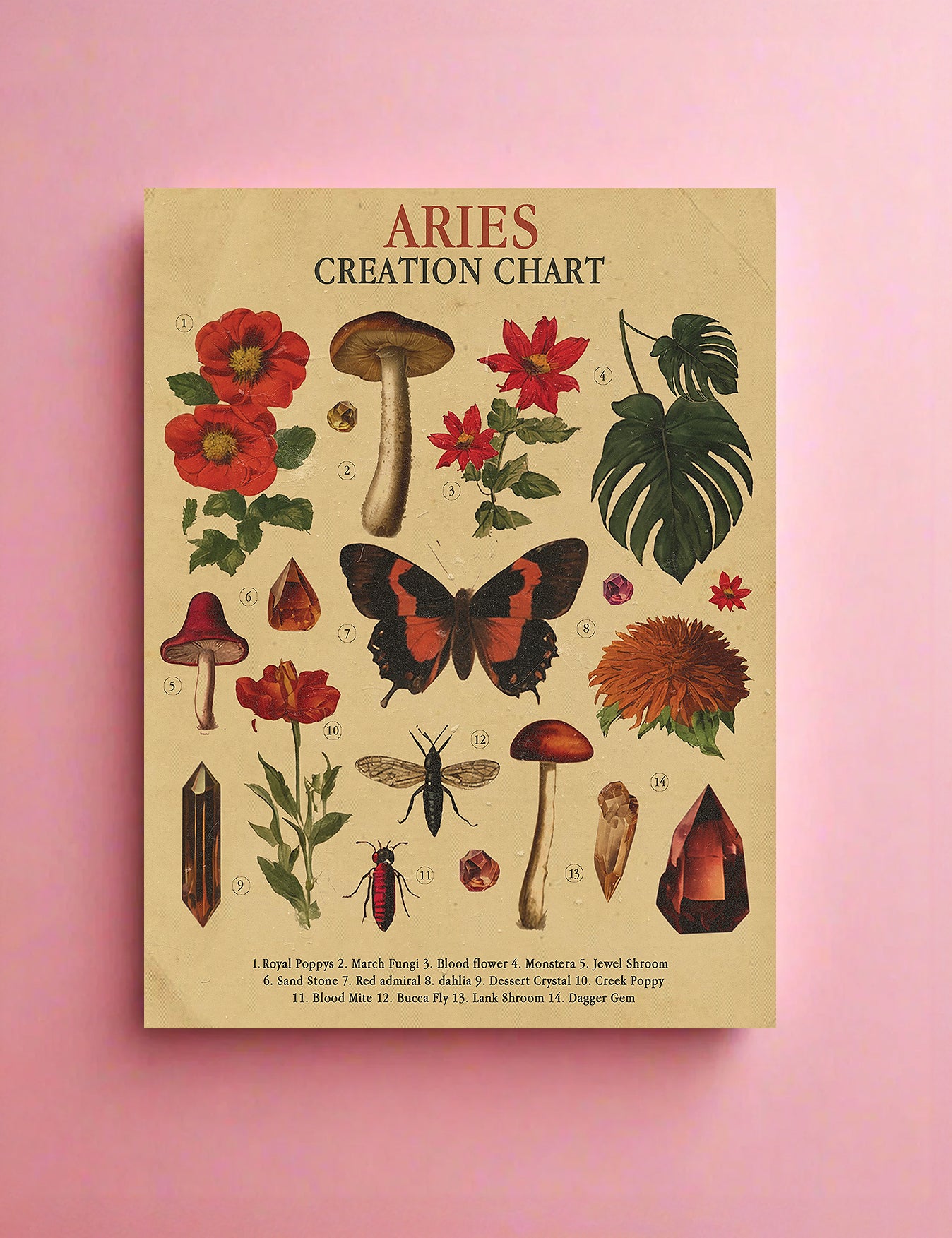 Zodiac Nature Charts