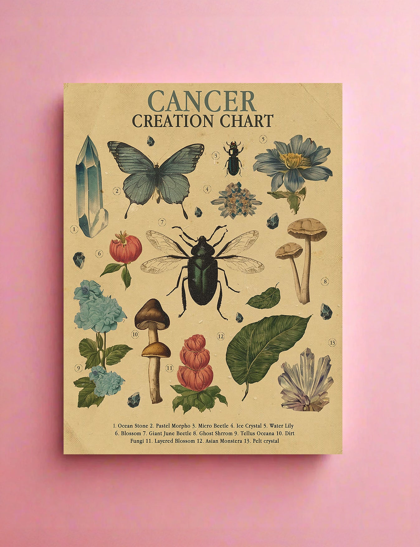 Zodiac Nature Charts
