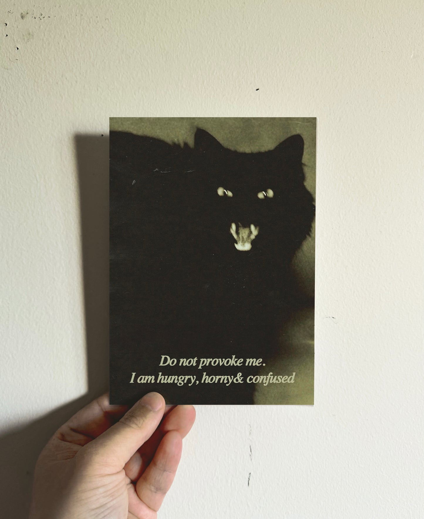 Do Not Provoke Print