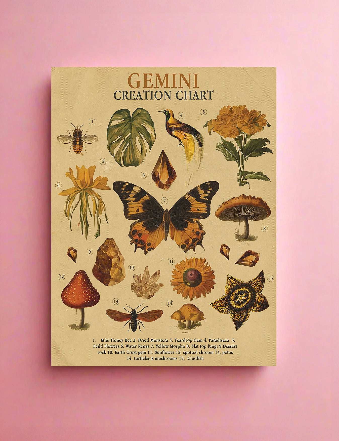 Zodiac Nature Charts
