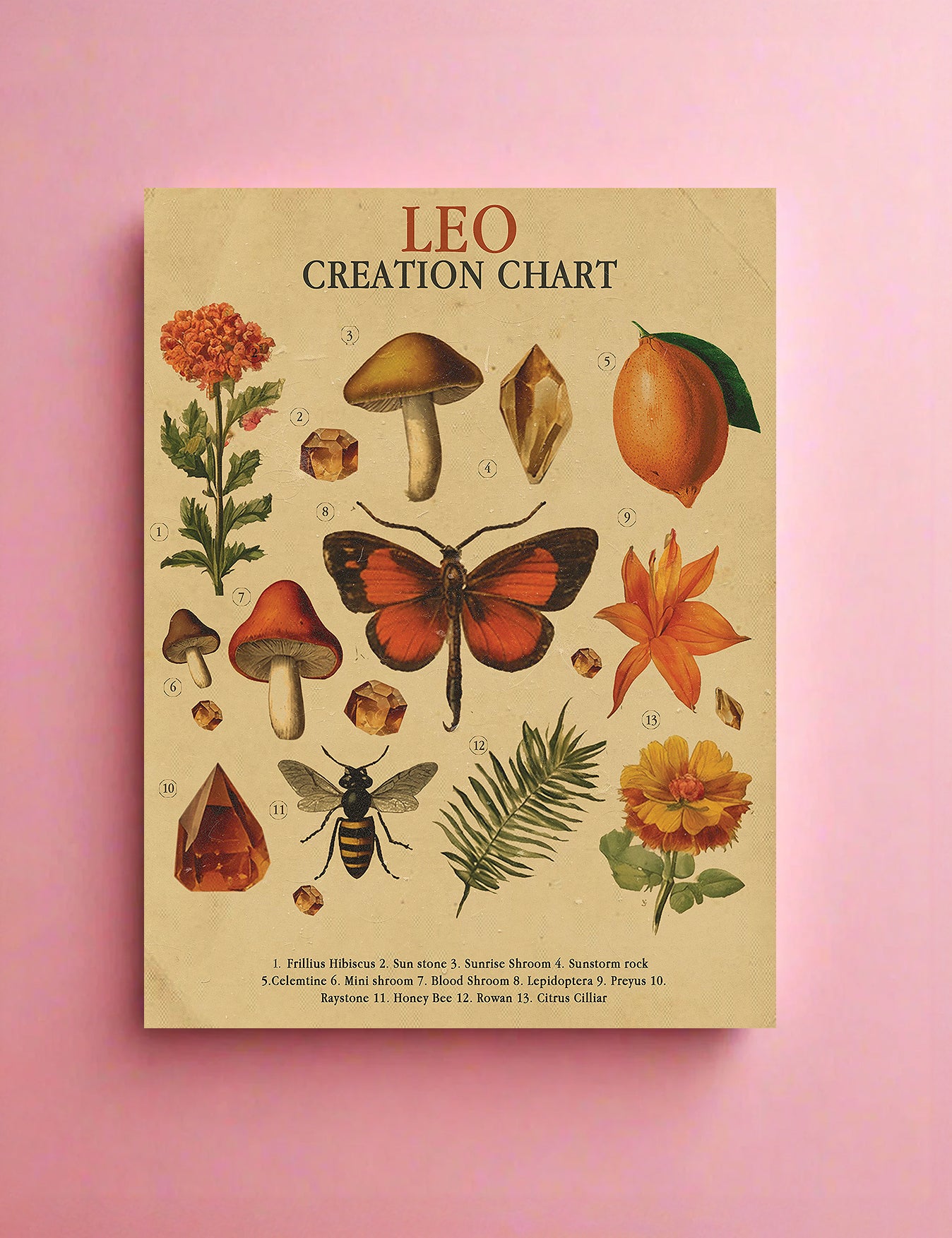 Zodiac Nature Charts