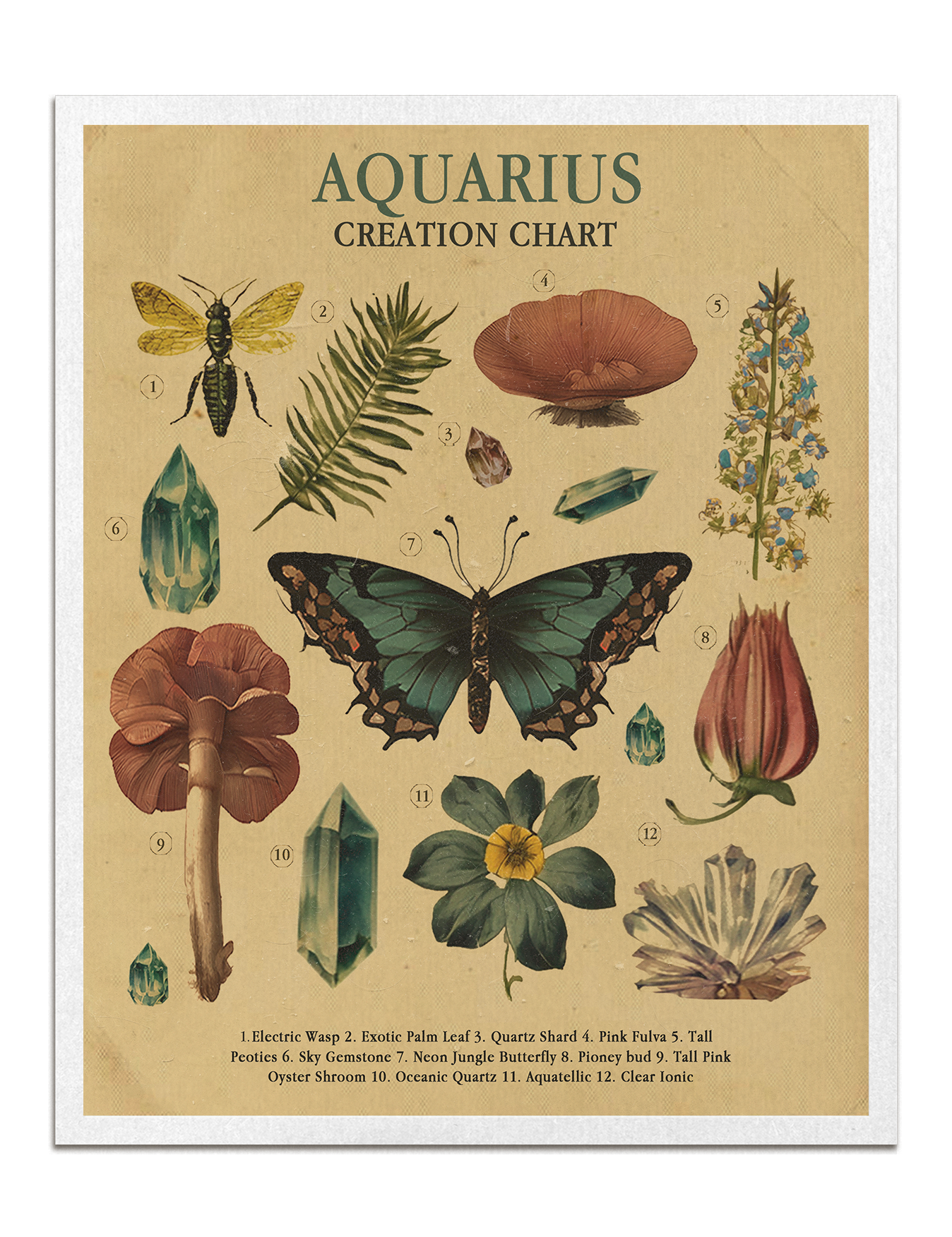 Zodiac Nature Charts