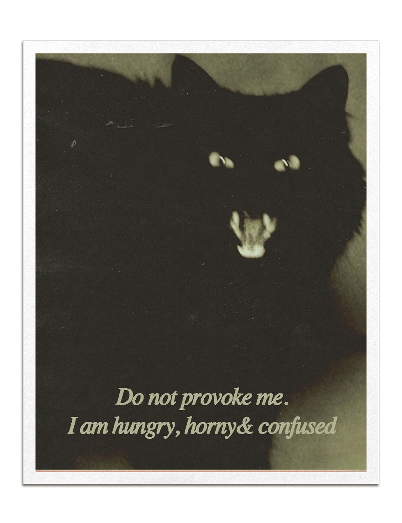 Do Not Provoke Print