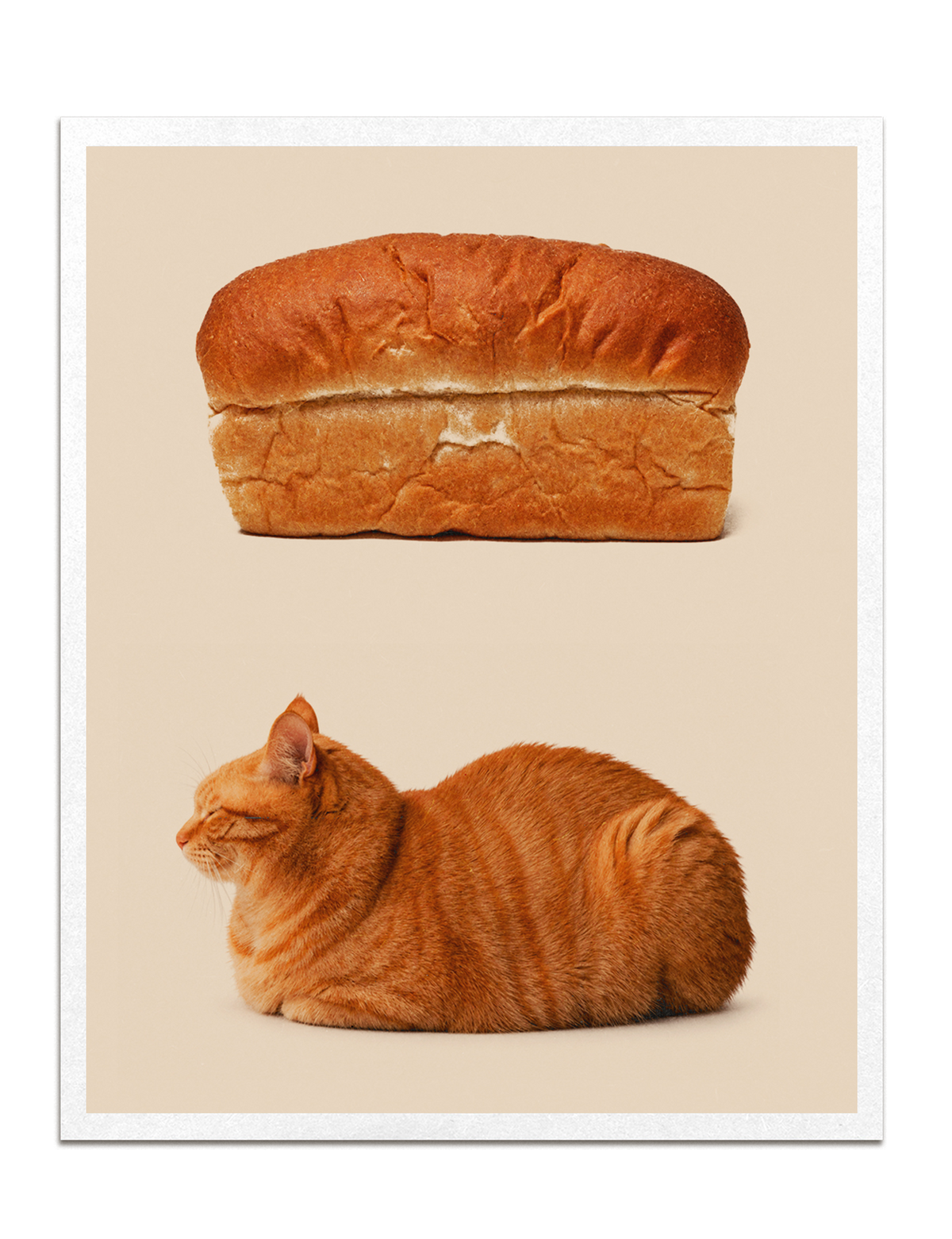 Kitty Loaf Print