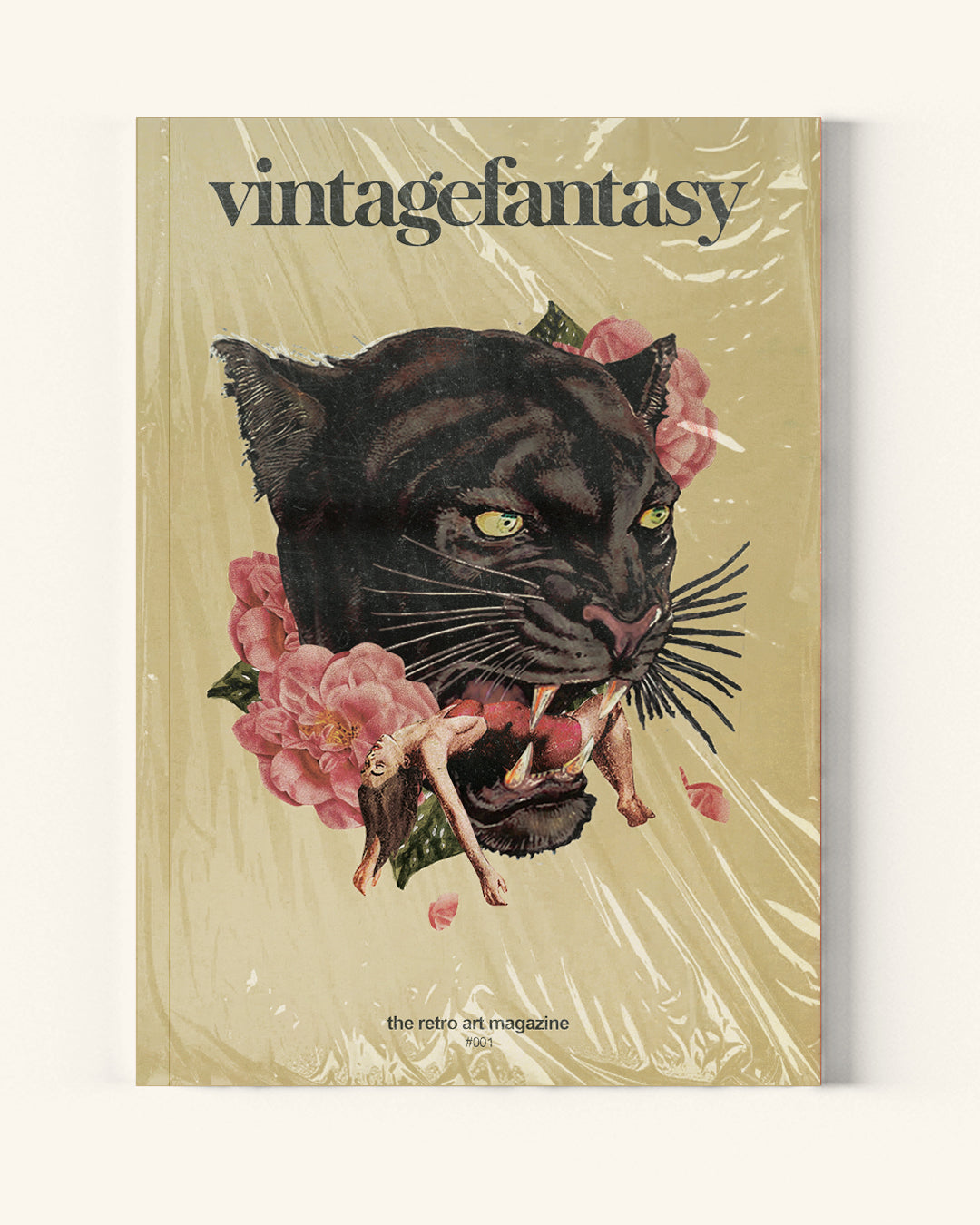 Magazine Bundle - low stock