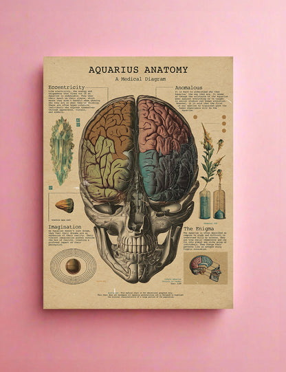 Zodiac Anatomy Prints