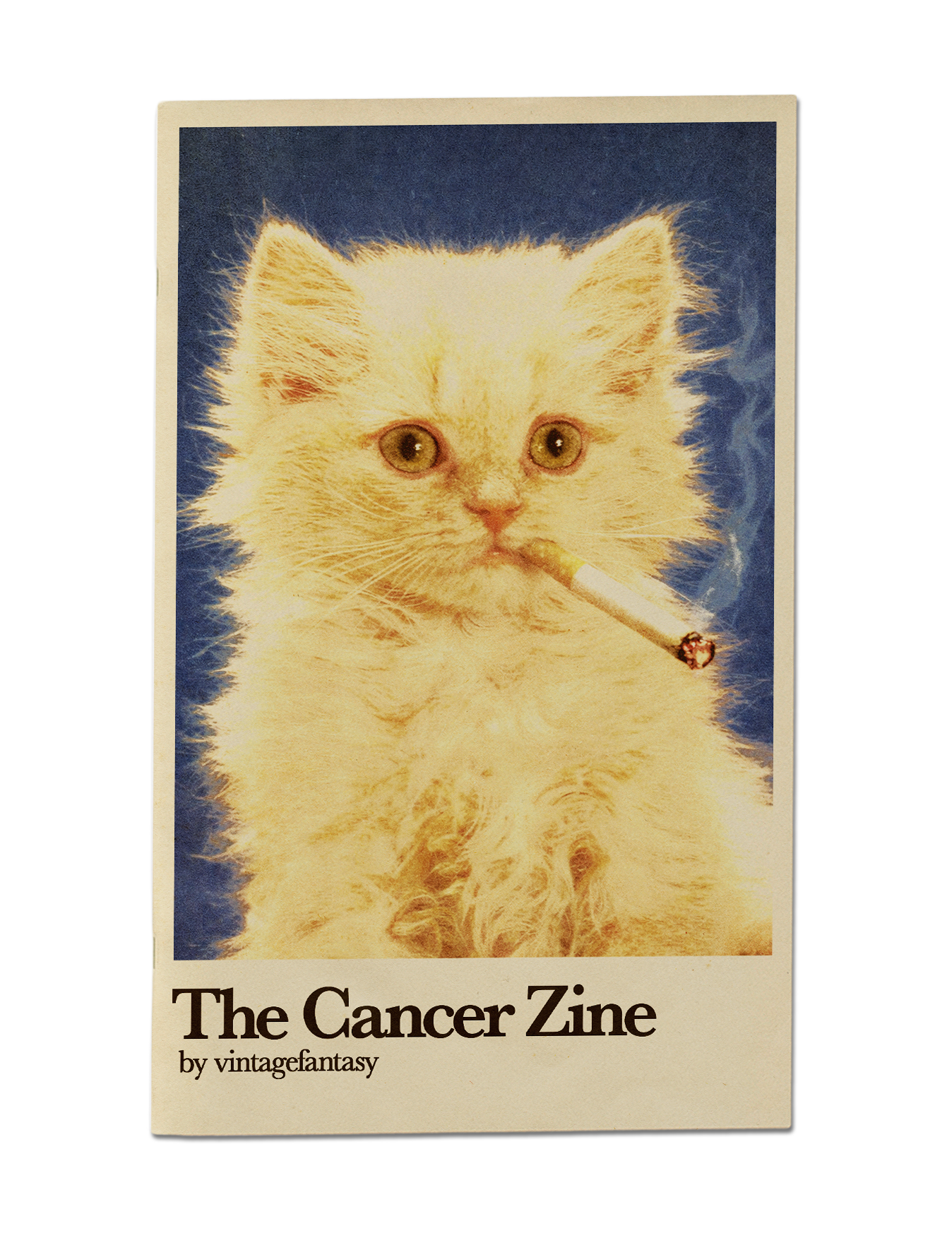 Astro-Zines (Zodiac Zines)