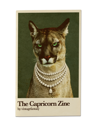 Astro-Zines (Zodiac Zines)