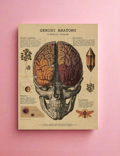 Zodiac Anatomy Prints