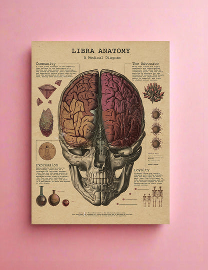 Zodiac Anatomy Prints