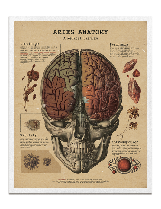 Zodiac Anatomy Prints