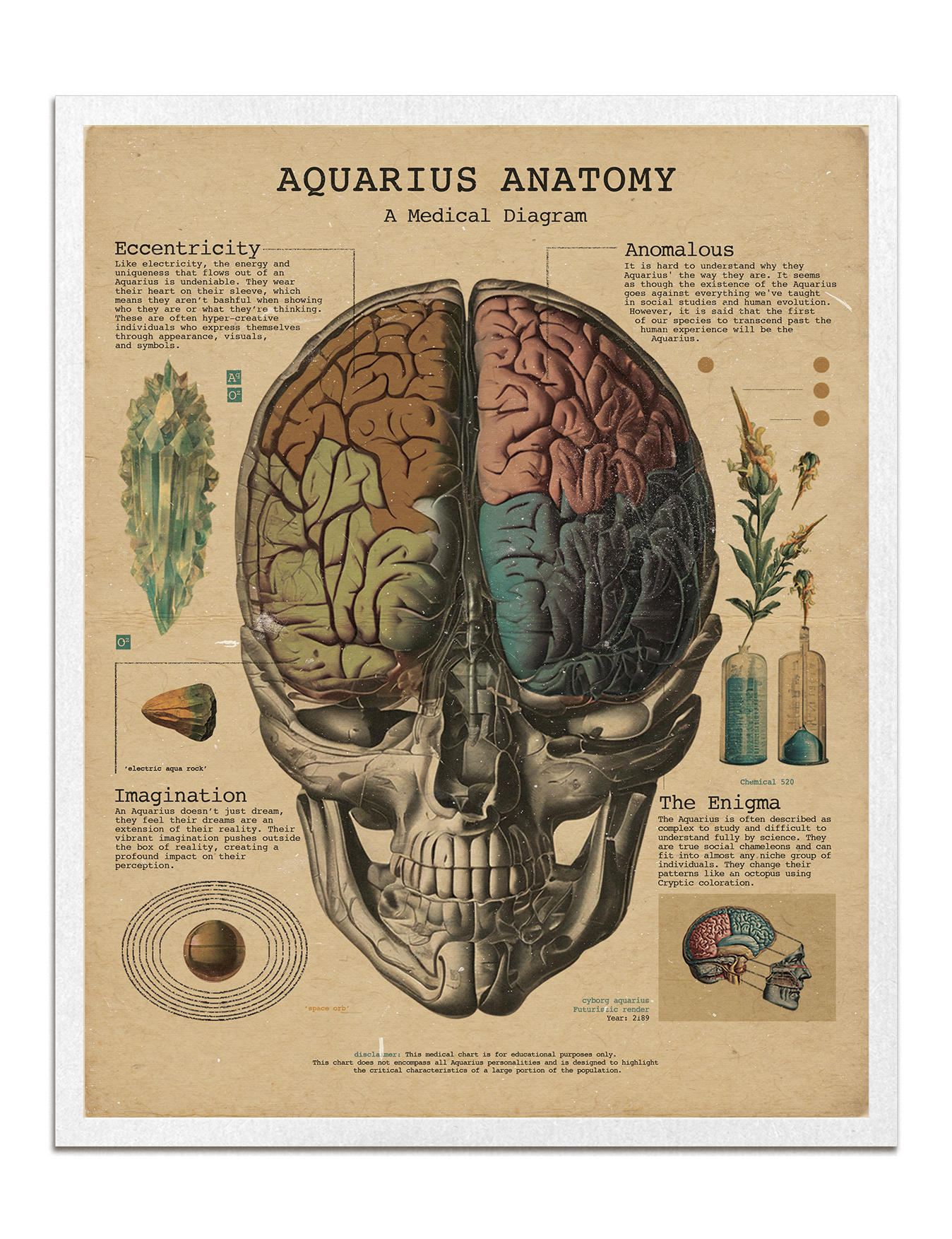 Zodiac Anatomy Prints