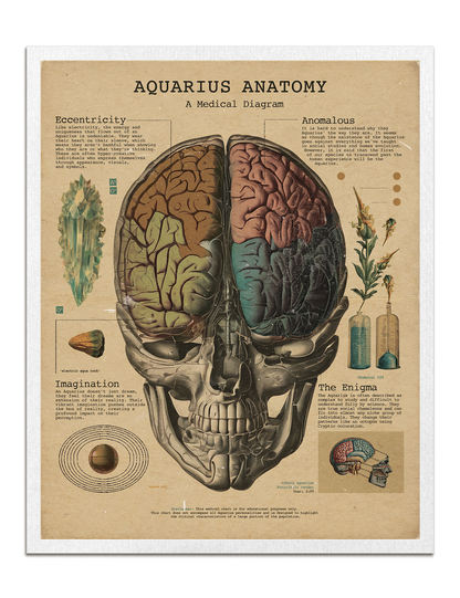 Zodiac Anatomy Prints