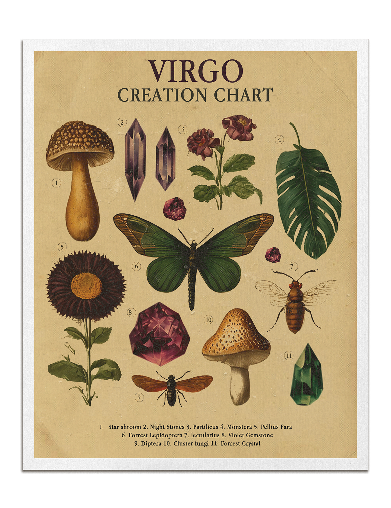 Zodiac Nature Charts