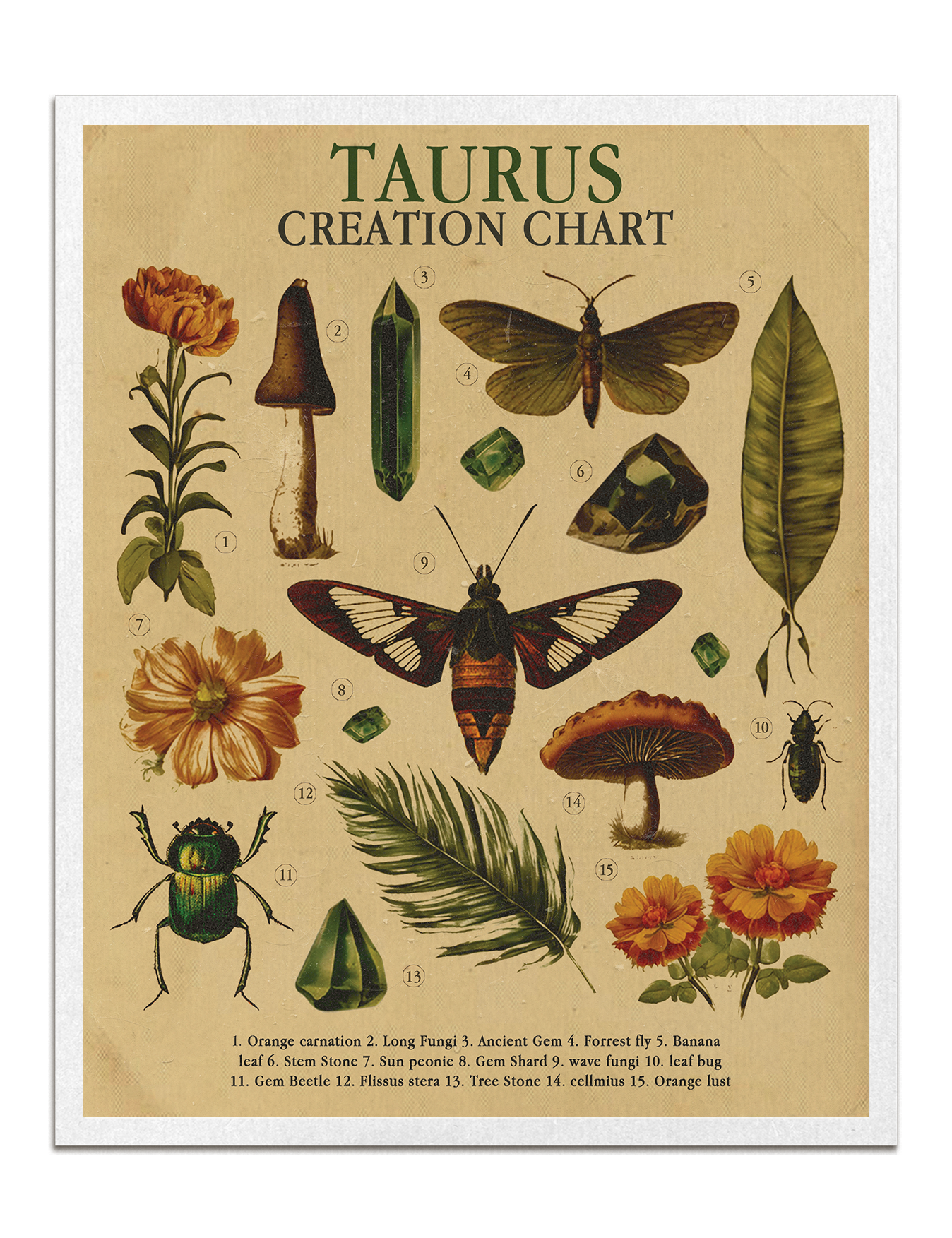 Zodiac Nature Charts