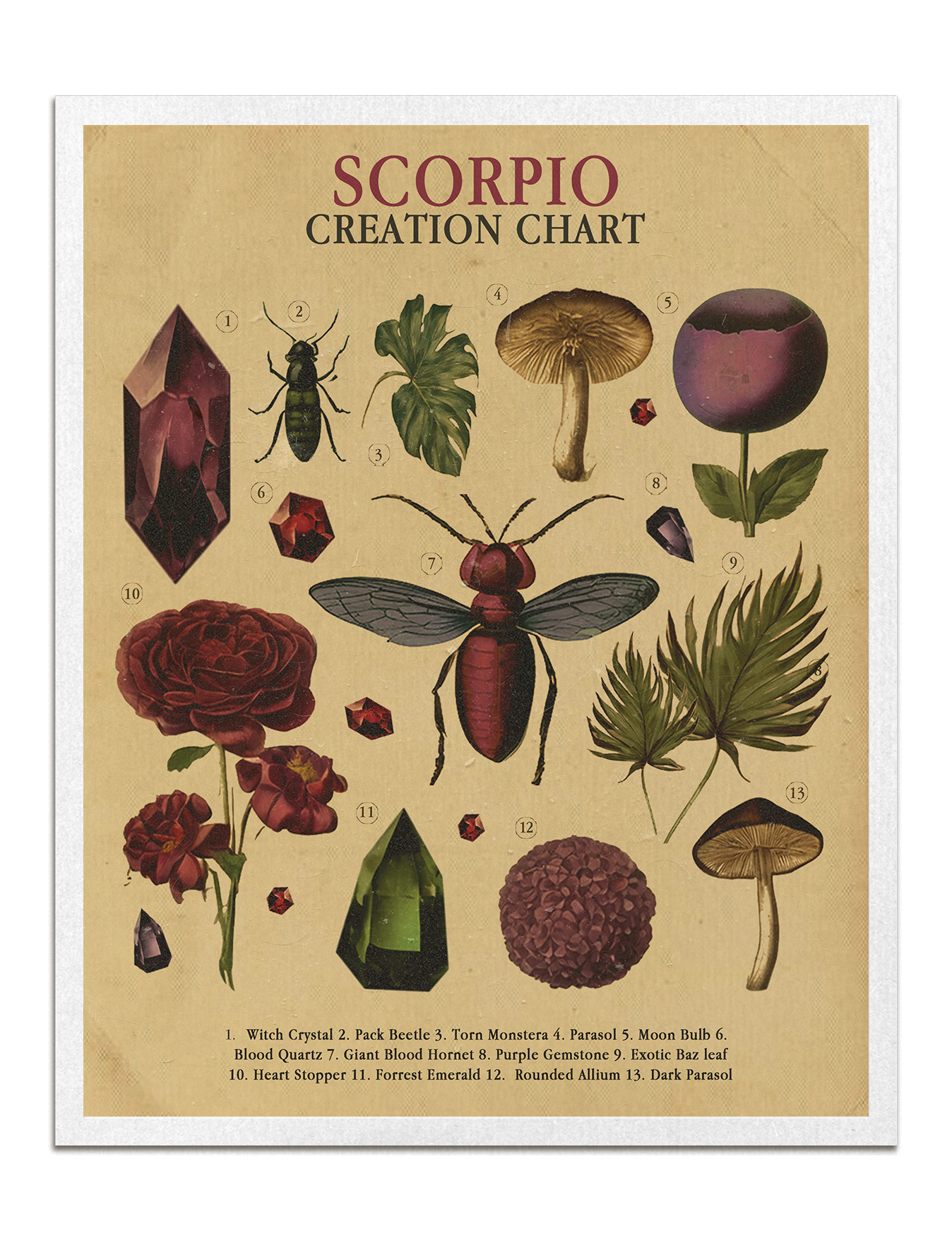 Zodiac Nature Charts