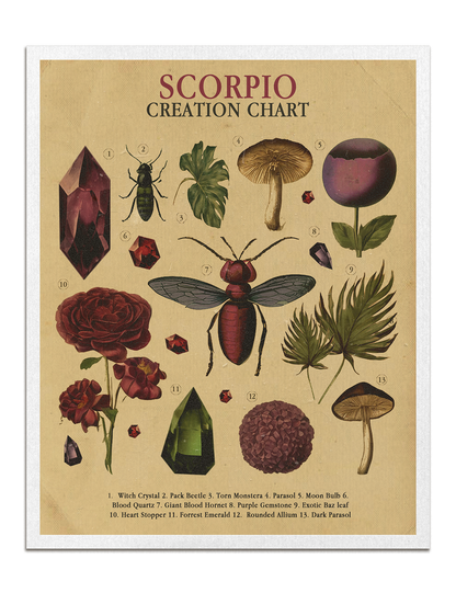 Zodiac Nature Charts