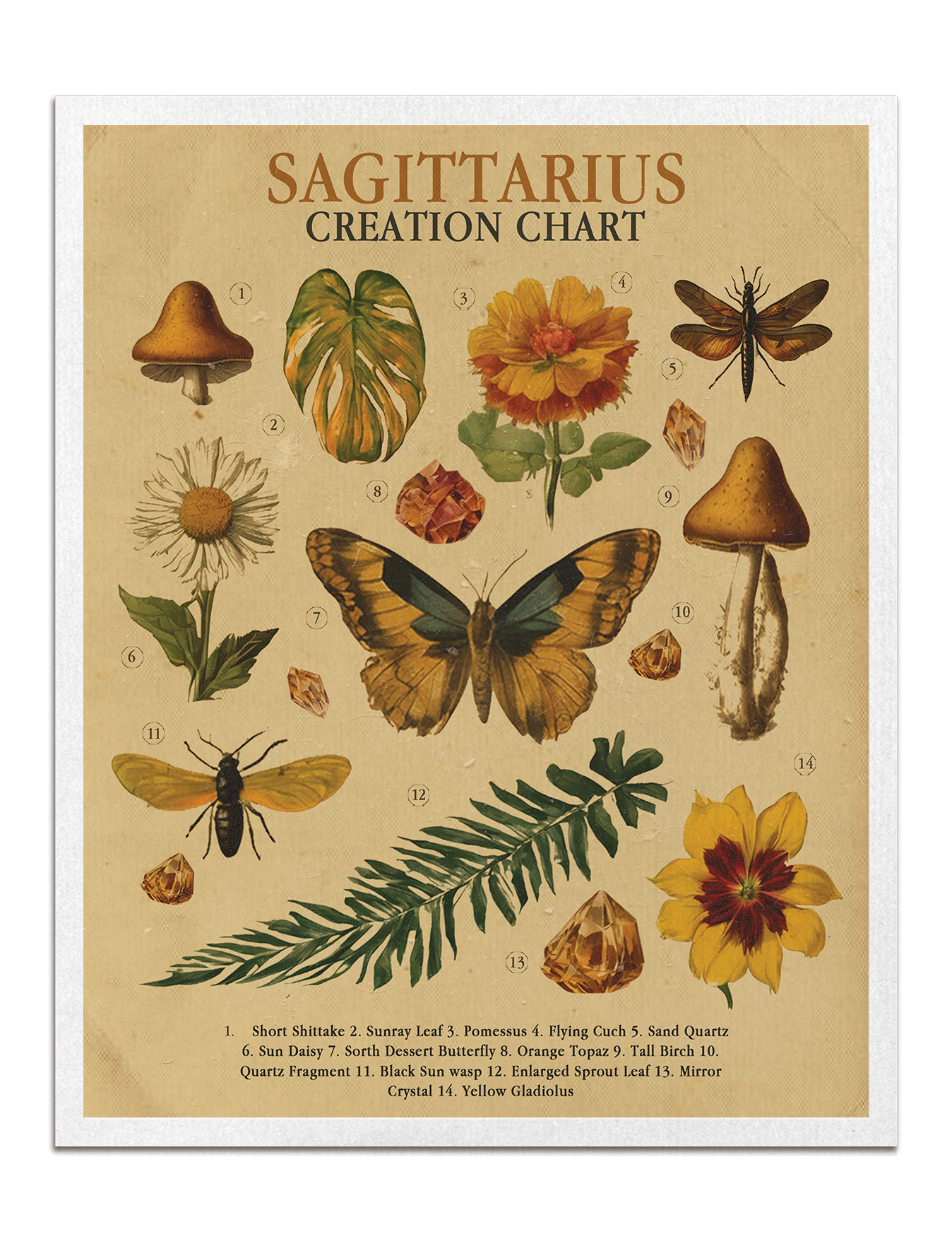Zodiac Nature Charts