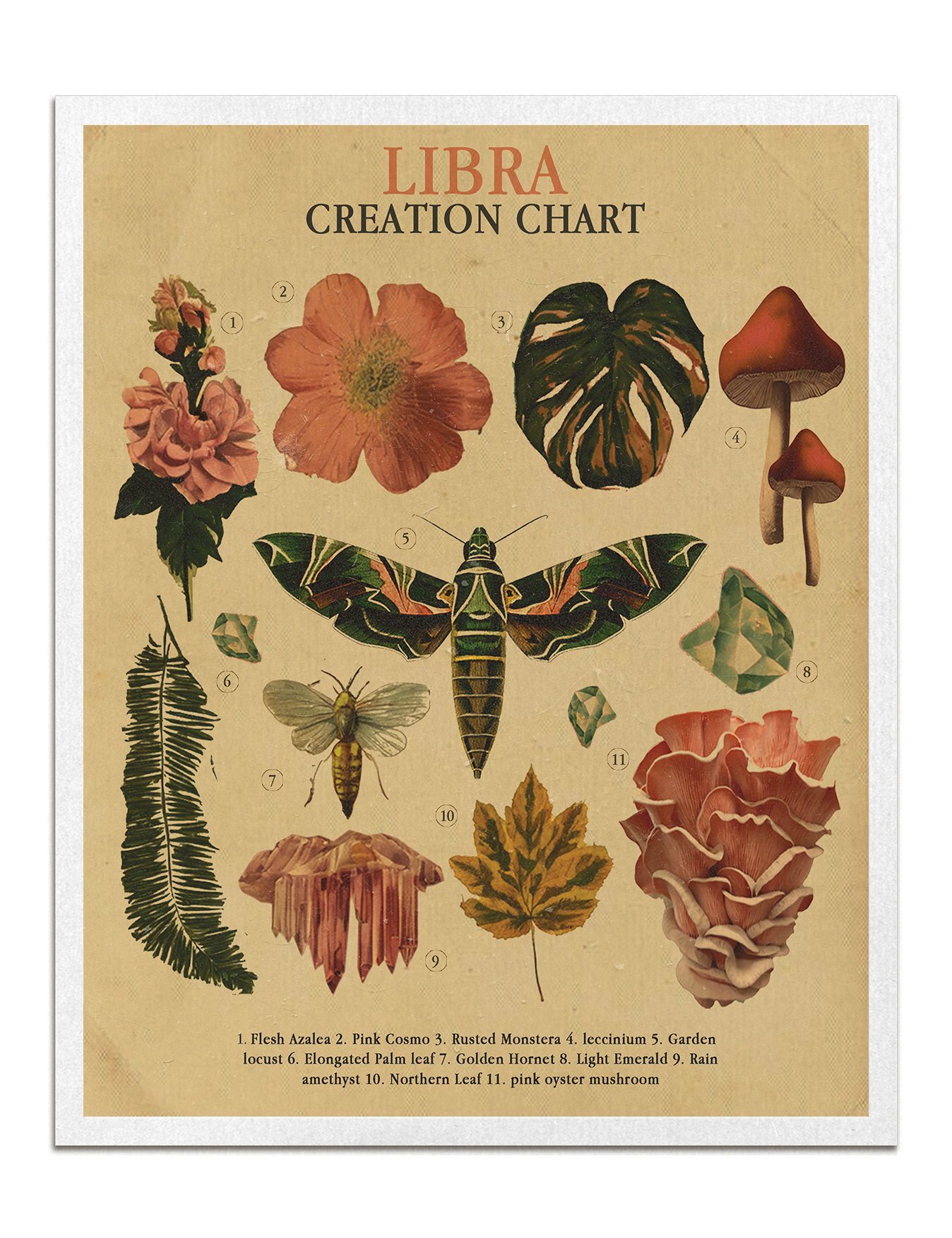 Zodiac Nature Charts