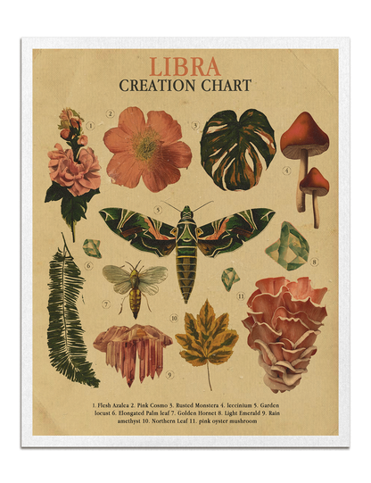 Zodiac Nature Charts