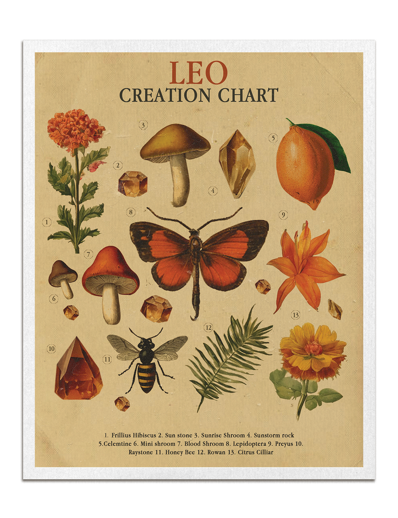 Zodiac Nature Charts