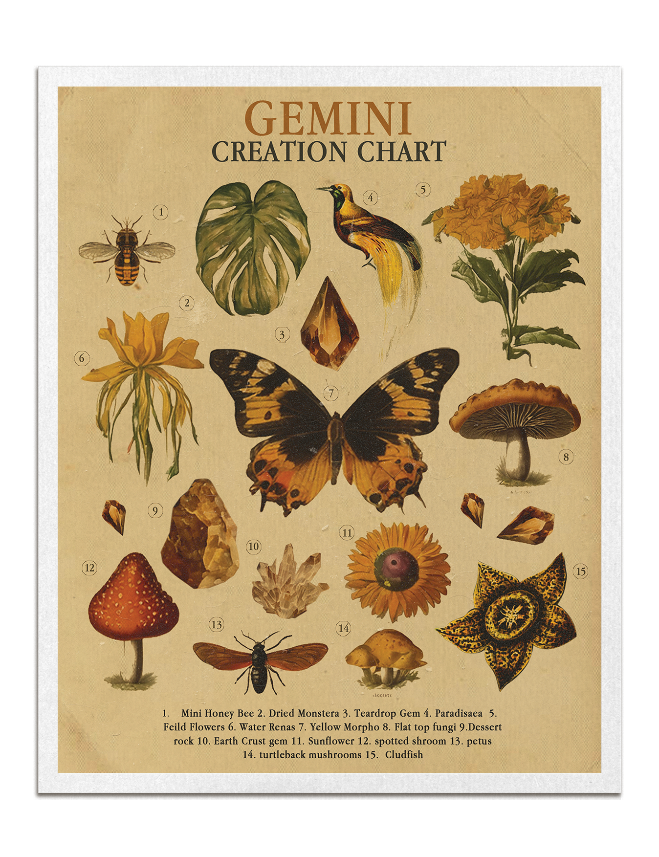 Zodiac Nature Charts