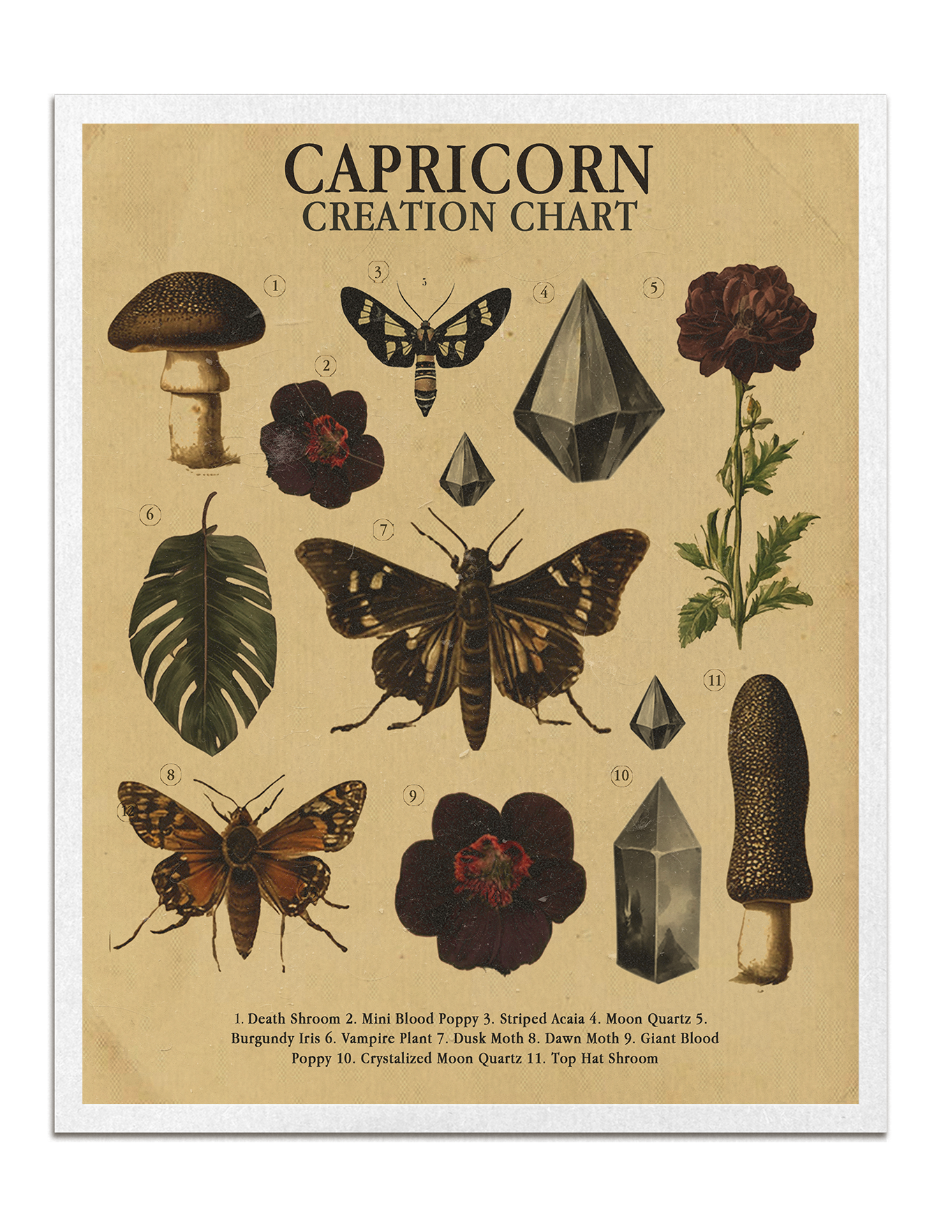 Zodiac Nature Charts