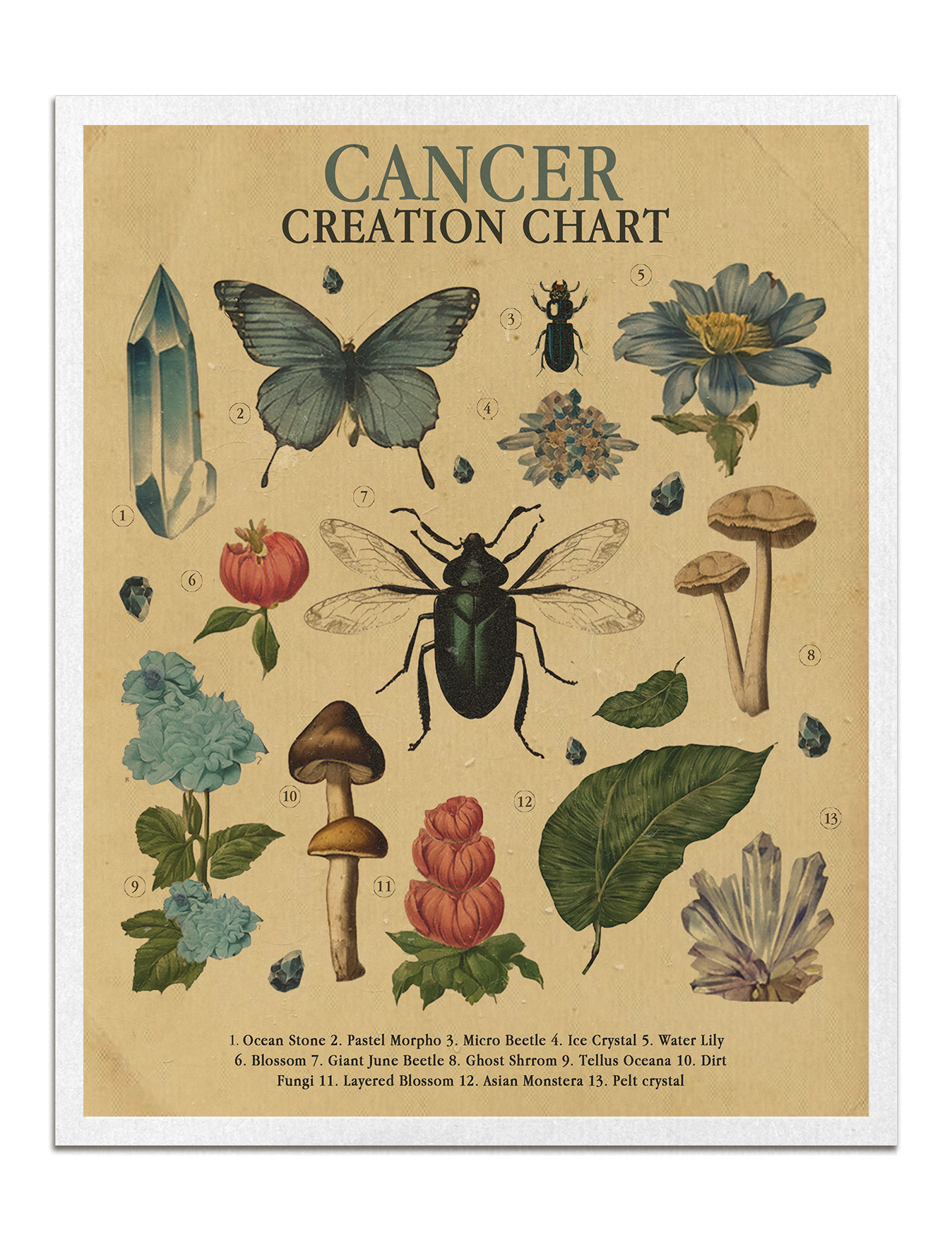 Zodiac Nature Charts
