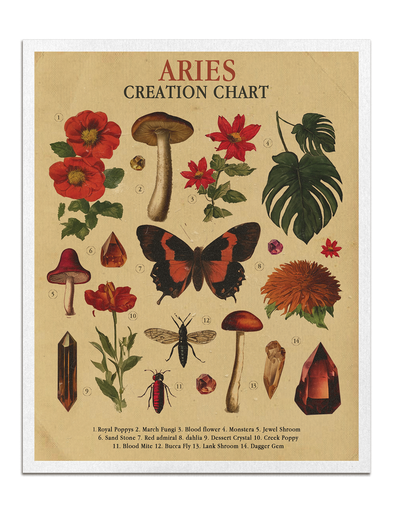 Zodiac Nature Charts