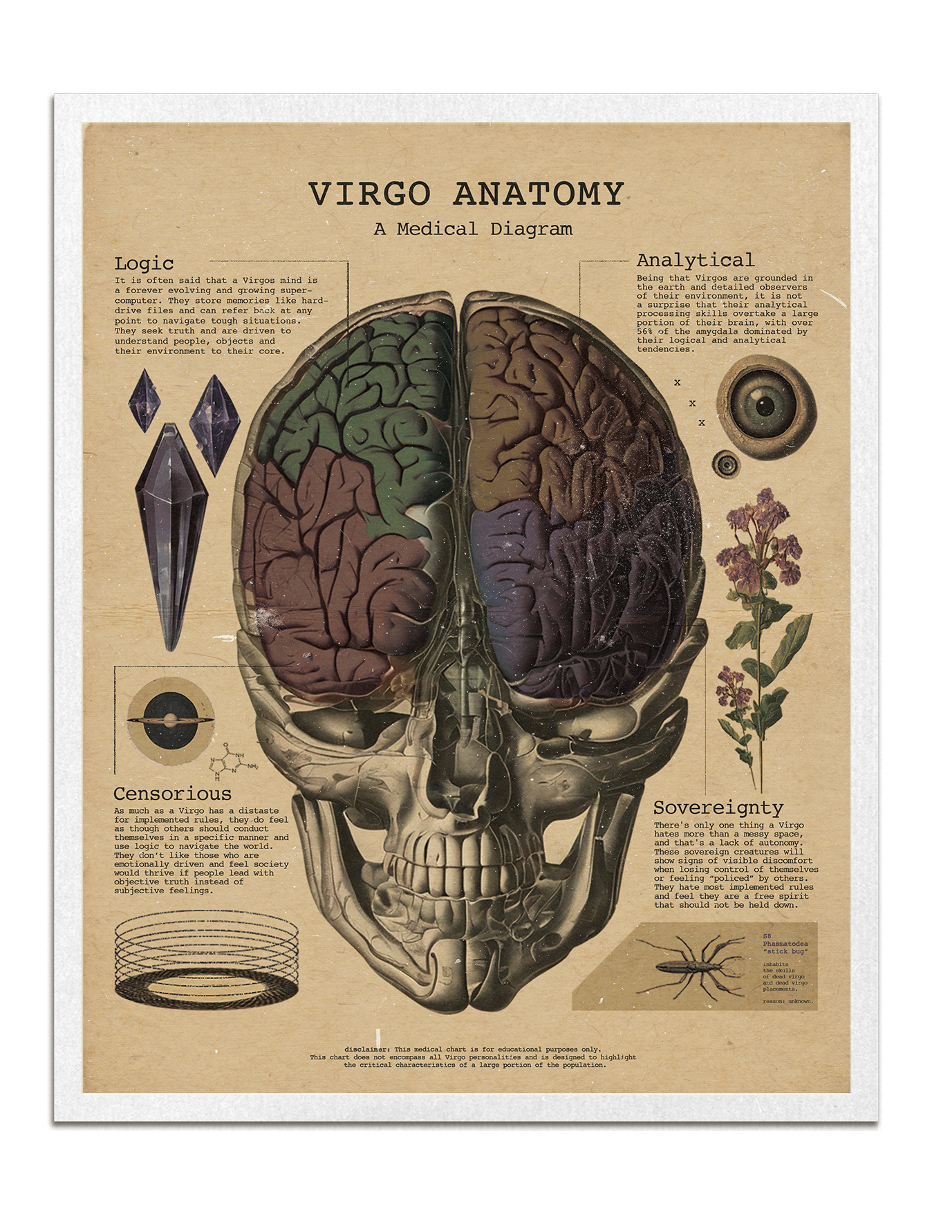 Zodiac Anatomy Prints