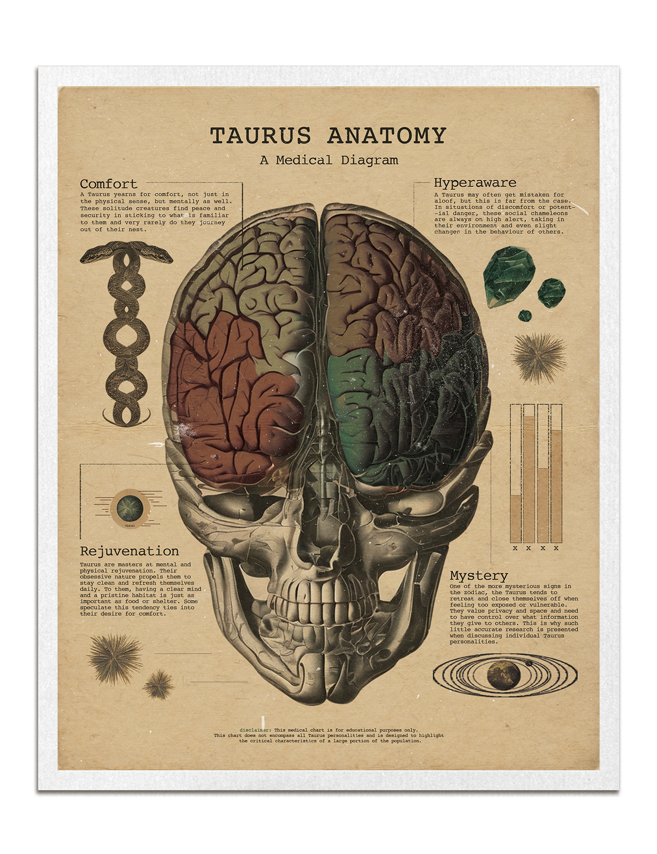Zodiac Anatomy Prints