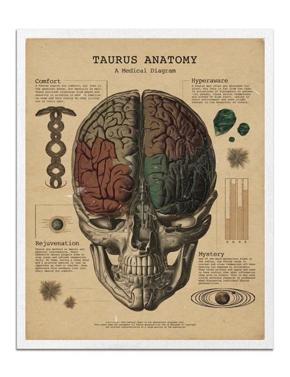 Zodiac Anatomy Prints