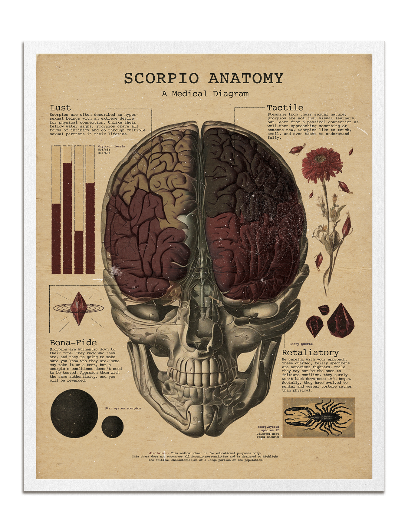 Zodiac Anatomy Prints
