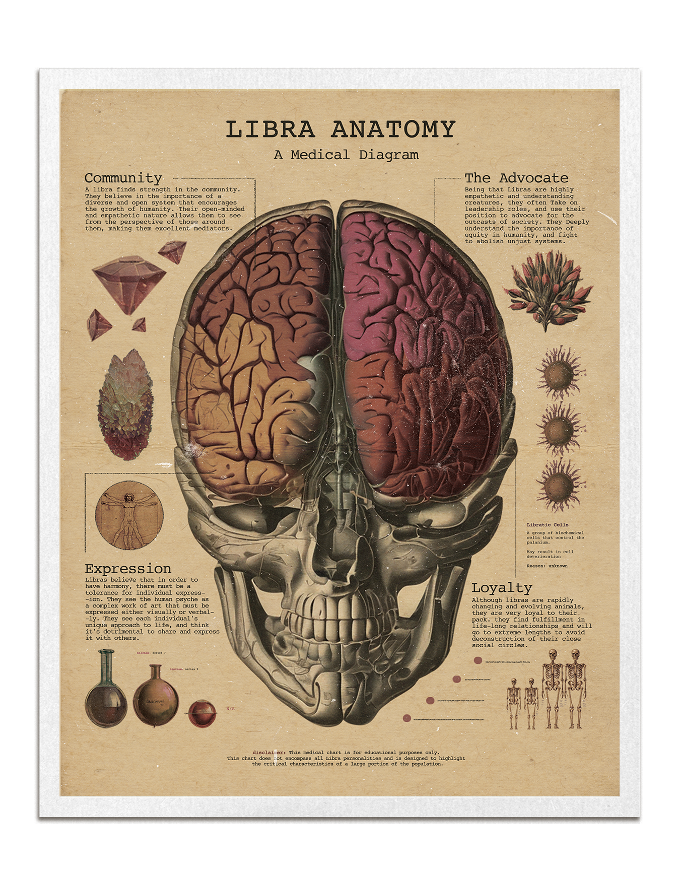 Zodiac Anatomy Prints