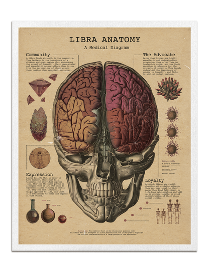 Zodiac Anatomy Prints