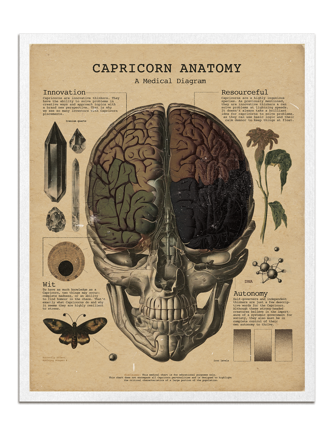 Zodiac Anatomy Prints