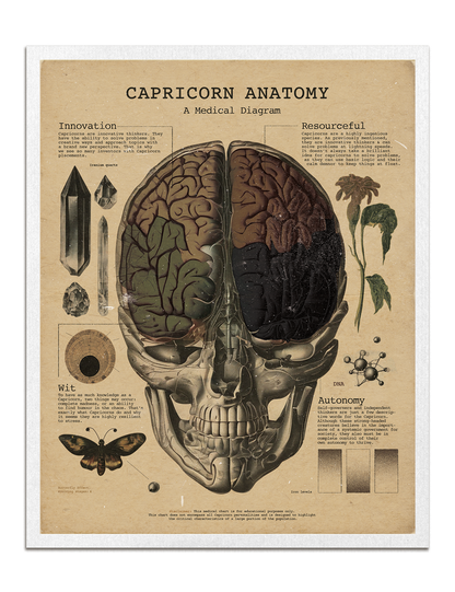 Zodiac Anatomy Prints