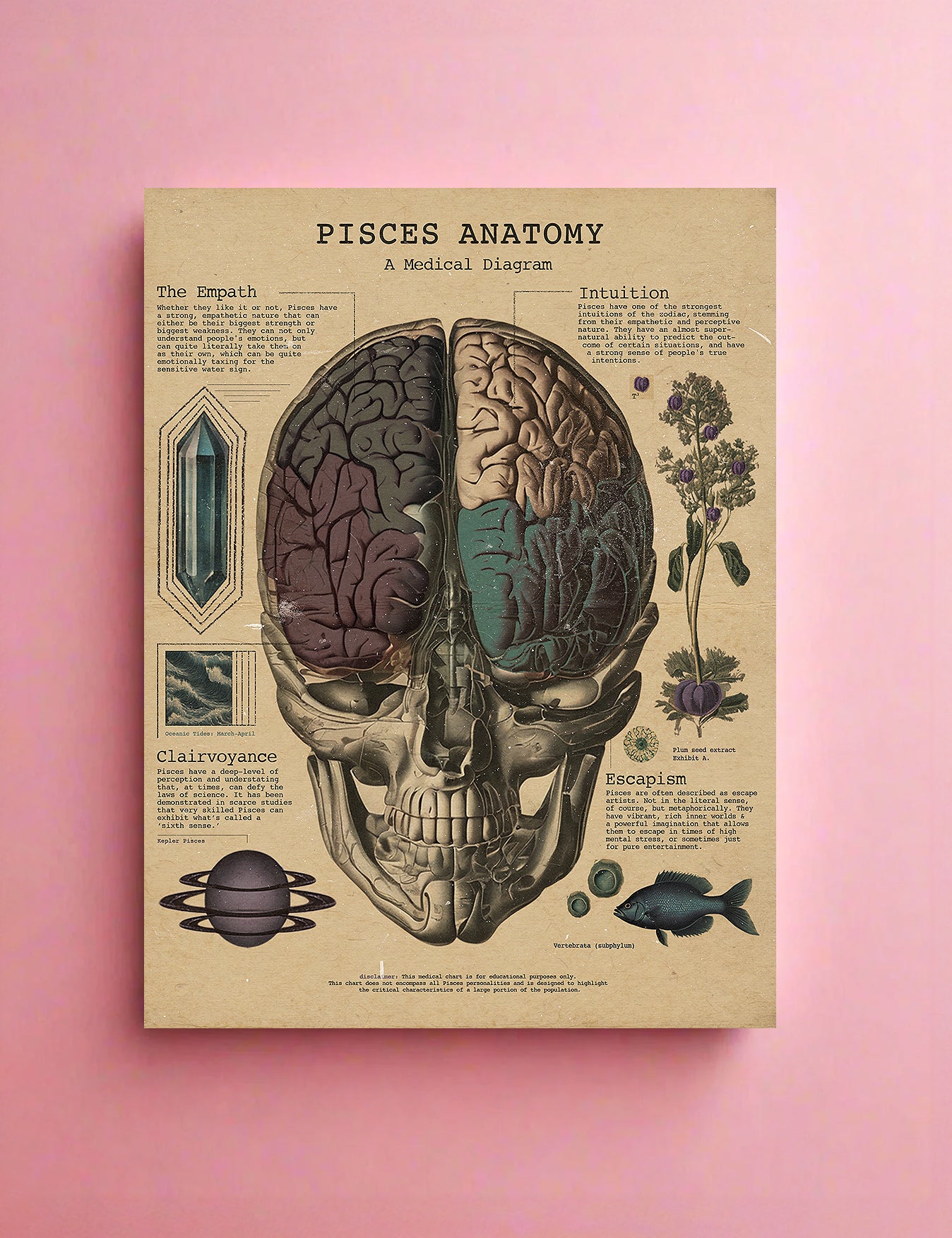 Zodiac Anatomy Prints