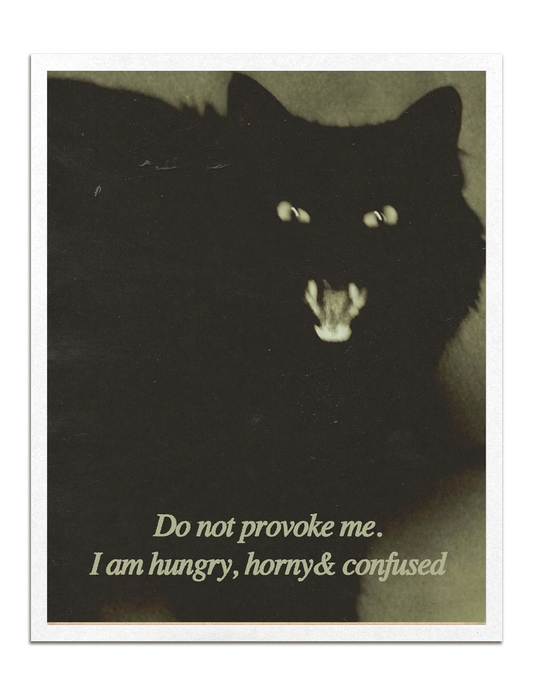 Do Not Provoke Print