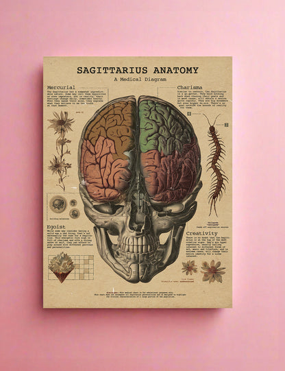 Zodiac Anatomy Prints