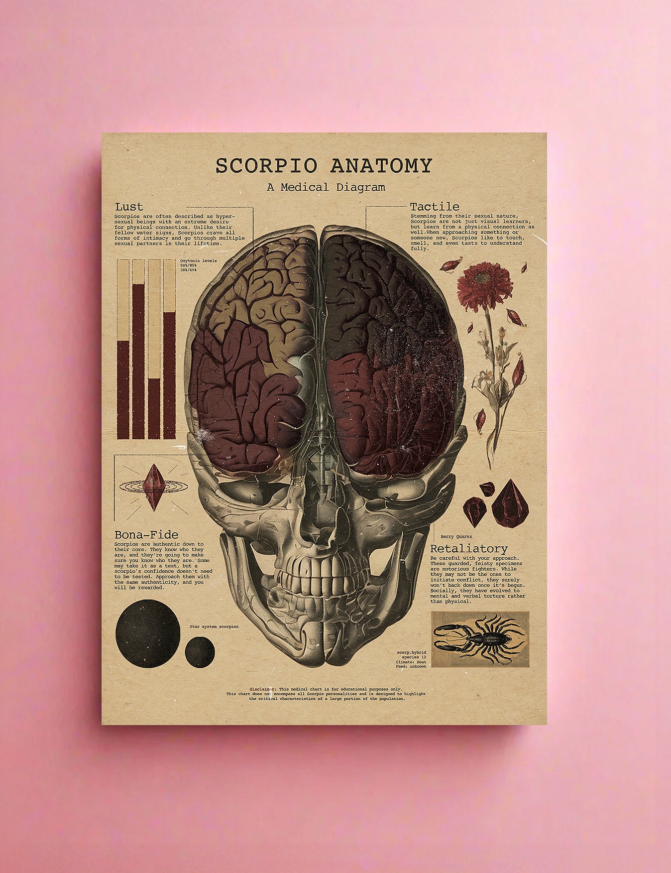 Zodiac Anatomy Prints