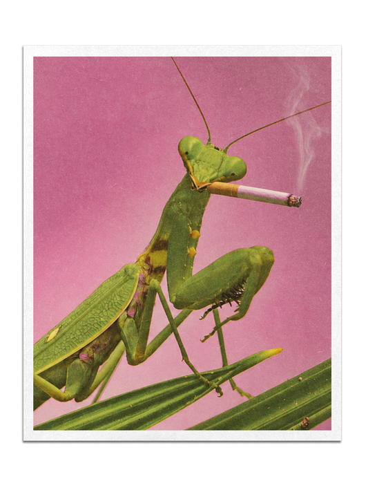 Mantis Print