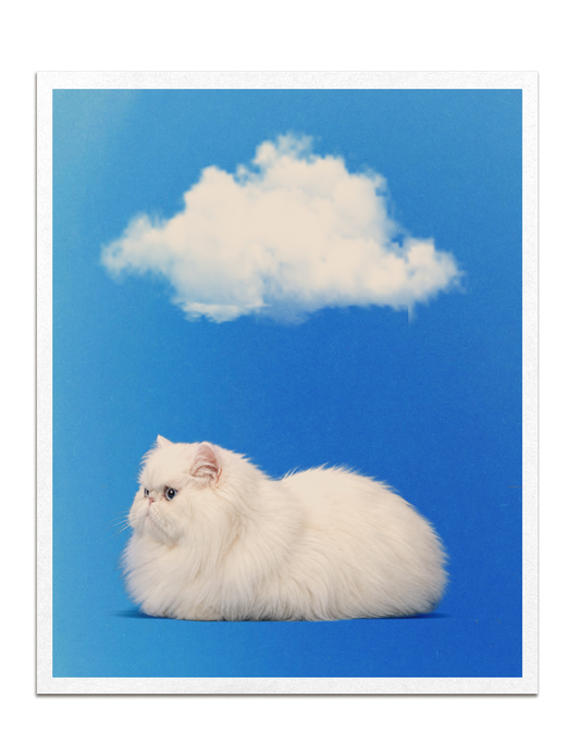 Kitty Cloud Print