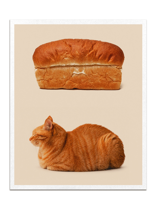 Kitty Loaf Print