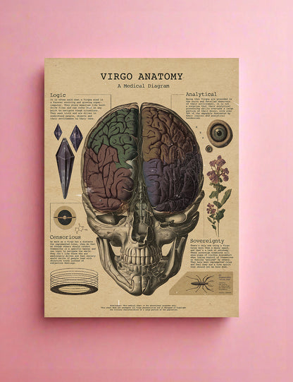 Zodiac Anatomy Prints